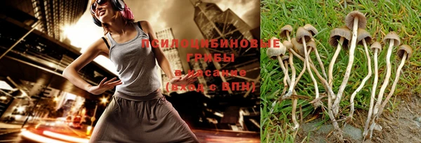 прущая мука Армянск