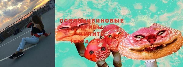 прущая мука Армянск
