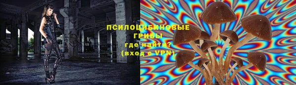 спиды Арсеньев