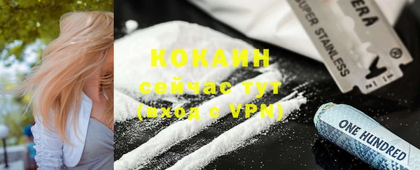 спиды Арсеньев