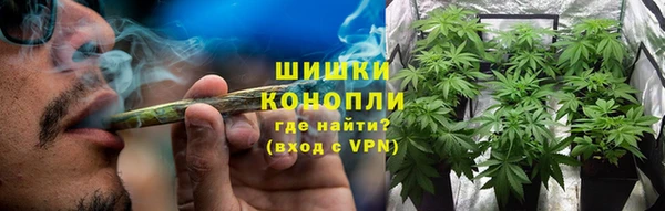 спиды Арсеньев